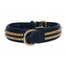 Ace Comfy  Leather Padded Dog Collar with Brass Studs (Black)